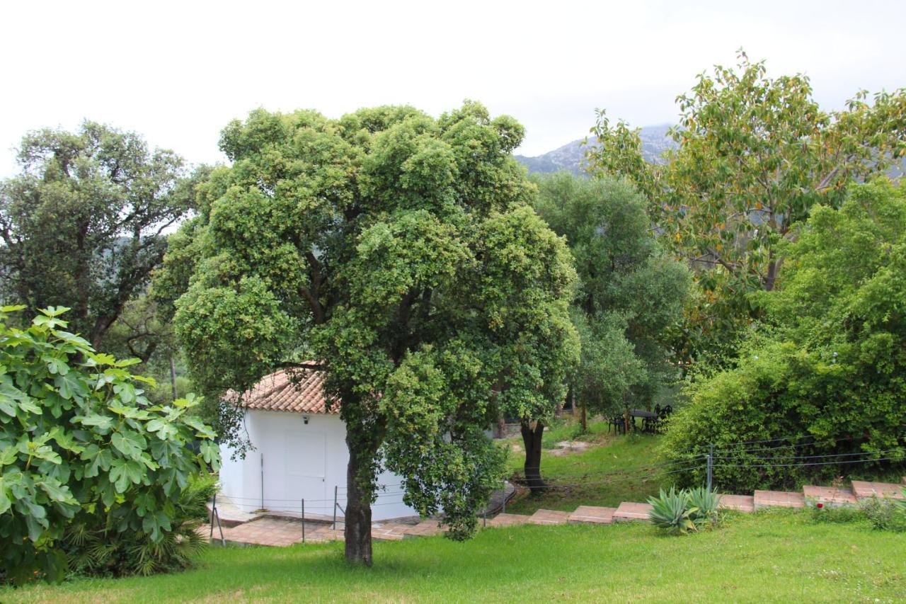 Finca El Campo Альхесирас Экстерьер фото